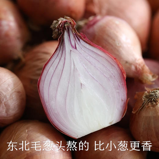 南食召 金葱油 商品图2