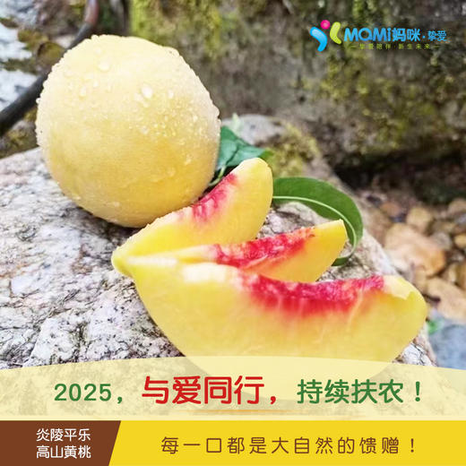 2025年‘桃梨节’第七季正宗湖南株洲炎陵高山黄桃手工现摘现发10斤新鲜高山红心桃高档水果（生鲜水果东北三省，新疆，西藏，内蒙古不能发货） 商品图6