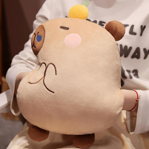 自然醒水晶绒佛系水豚三合一抱枕毯两用可插手午睡枕办公室午休趴枕QYL 商品图9