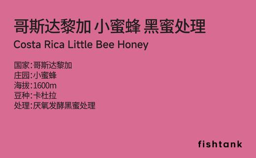 哥斯达黎加 小蜜蜂 黑蜜处理 手冲咖啡 商品图2