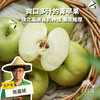 有机瑞雪苹果| 合作生产 Organic ruixue apple | Partner Production 商品缩略图0
