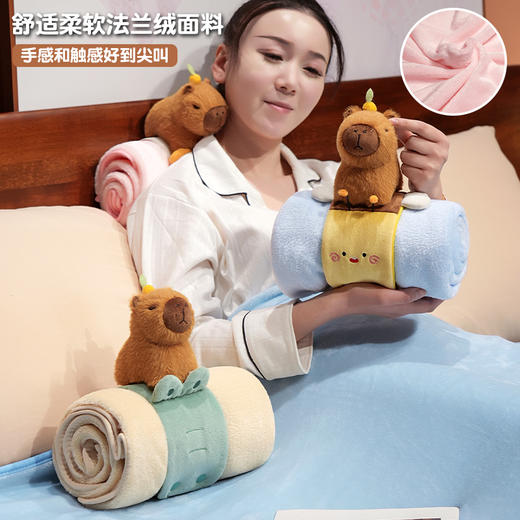 自然醒趣味水豚立体卷毯午休办公室午睡空调毯子儿童珊瑚绒毛毯汽车载QYL 商品图1