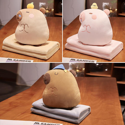 自然醒水晶绒佛系水豚三合一抱枕毯两用可插手午睡枕办公室午休趴枕QYL 商品图6