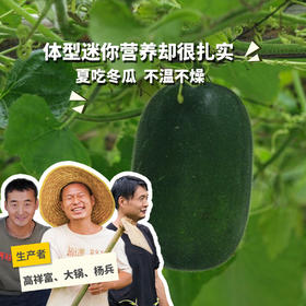 生态小冬瓜 | 绿家自产*ecological gourd | Self-production