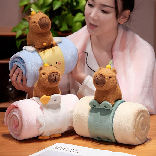 自然醒趣味水豚立体卷毯午休办公室午睡空调毯子儿童珊瑚绒毛毯汽车载QYL 商品图14