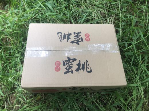 山东蒙阴黄金毛蟠桃4.5斤装（9-15个） 商品图11