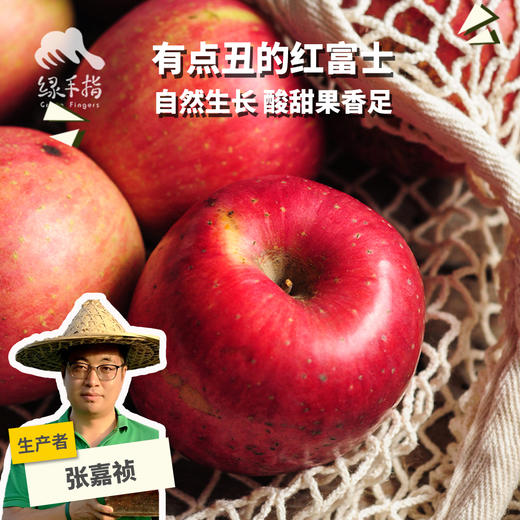 有机真的丑红富士苹果 | 合作生产 Organic-real ugly Fuji apple | Coproduction 商品图0