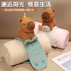 自然醒趣味水豚立体卷毯午休办公室午睡空调毯子儿童珊瑚绒毛毯汽车载QYL 商品缩略图5