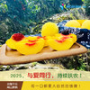 2025年‘桃梨节’第七季正宗湖南株洲炎陵高山黄桃手工现摘现发10斤新鲜高山红心桃高档水果（生鲜水果东北三省，新疆，西藏，内蒙古不能发货） 商品缩略图3