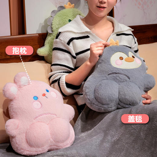 自然醒PP系列二合一抱枕毯两用办公室折叠午睡枕头毯子二合一沙发汽车靠枕QYL 商品图1