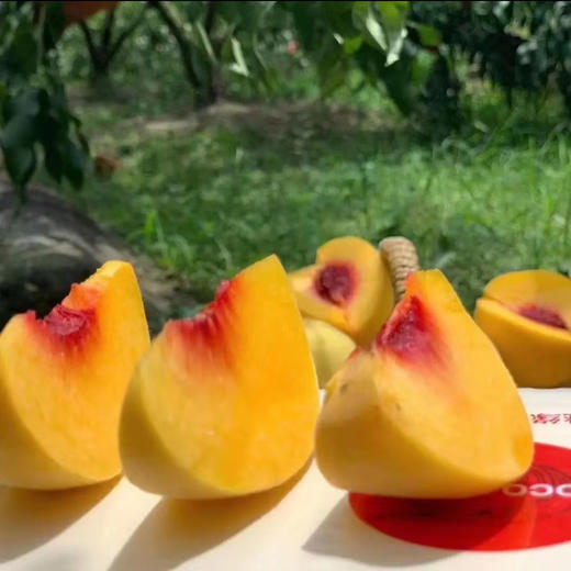 【严选】江陵三湖农场桃皇礼盒精品8个装 （单枚重量6-8两） 商品图3