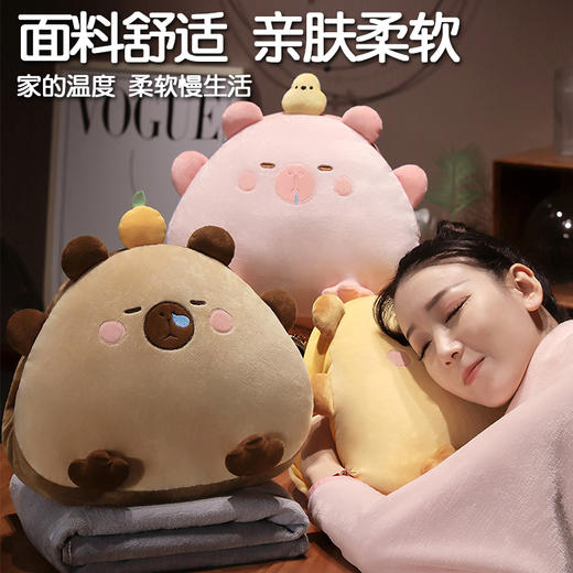 自然醒饭团水豚三合一抱枕毯办公室暖手抱枕午睡神器枕头车用睡觉女生珊瑚绒毯子QYL 商品图3