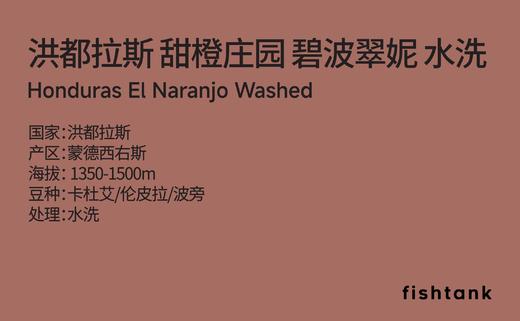 洪都拉斯 甜橙庄园 碧波翠妮 水洗 手冲咖啡 商品图1