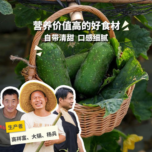 生态节瓜 | 绿家自产* Eco-chieh-qua | Self-production 商品图0
