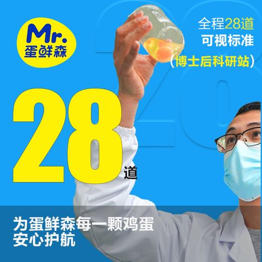 蛋鲜森 无抗可生食土鸡蛋10枚400g 商品图4