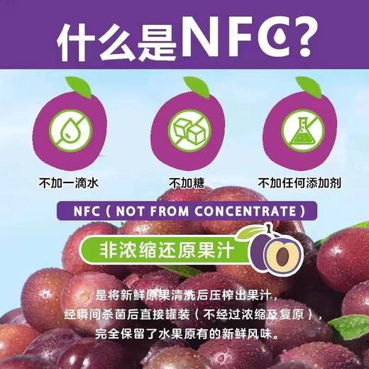 果园日珍NFC西梅原浆2盒装（30mlX20袋)  【疆品南下 粤品北上】 商品图1