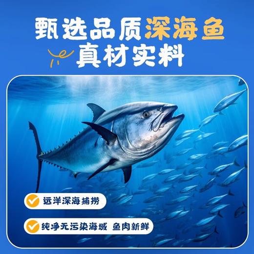 味一系列鱼松200g 天然深海鱼松口感细腻 057583/030002-1/057587/030002-2 商品图1