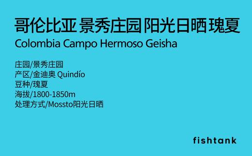 哥伦比亚景秀庄园阳光日晒瑰夏  手冲咖啡 商品图1