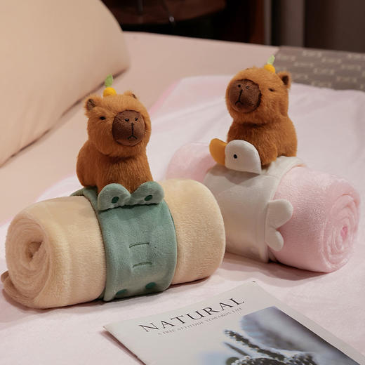 自然醒趣味水豚立体卷毯午休办公室午睡空调毯子儿童珊瑚绒毛毯汽车载QYL 商品图9