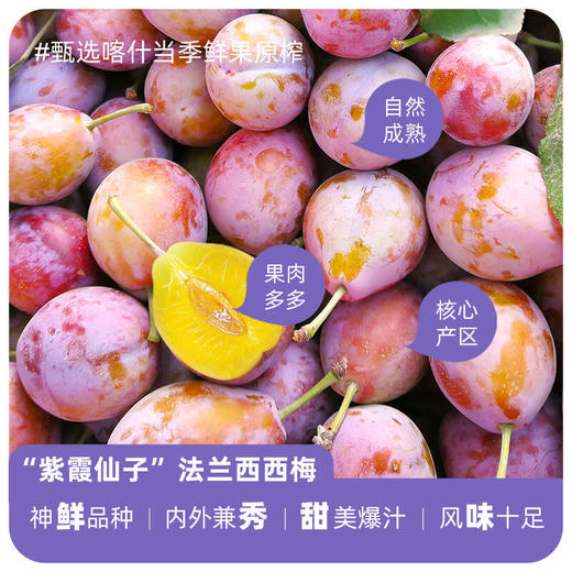 疆果萃NFC西梅原浆118ml*10袋【疆品南下 粤品北上】 商品图3