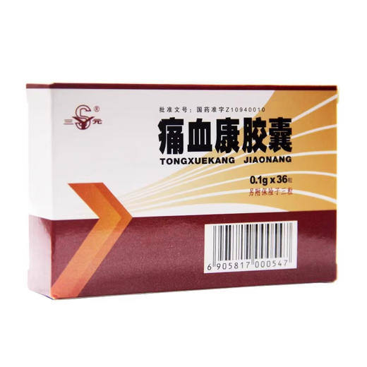 SY/三元 痛血康胶囊 0.1g*36粒/盒 商品图0
