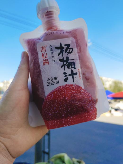 杨梅汁3袋 商品图0