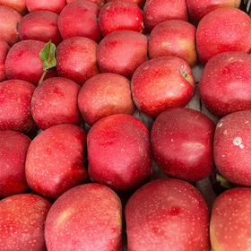 嘎拉苹果 1000g/份