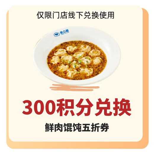 鲜肉馄饨一份（积分兑礼） 商品图0