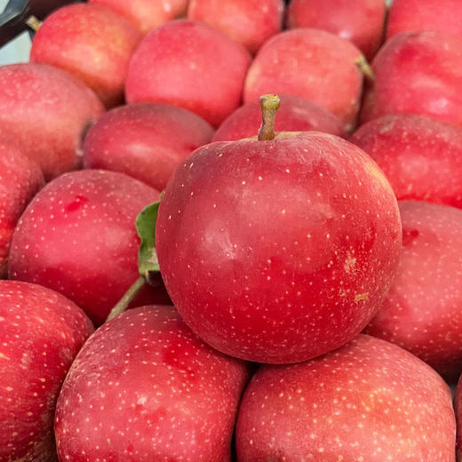 嘎拉苹果 1000g/份 商品图1