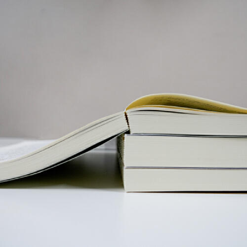 【1册签名·钤印】岱峻《发现李庄》（函套版·全三卷） 商品图3