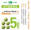2025年‘桃梨节’第一季正宗湖北省枝江市百里洲砂梨手工现摘现发高档水果（生鲜水果新疆，青海，内蒙古，黑龙江，吉林，不能发货） 商品缩略图6