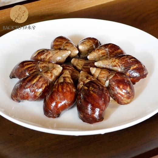 新品：中华白玉蜗牛（活体）16只盒装  全国配送（偏远地区除外） 商品图4