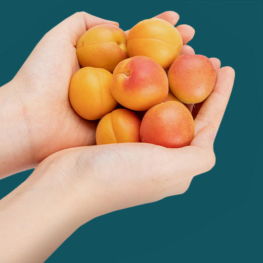 新鲜水果 果香浓郁 吊干杏 3斤/框 商品图1