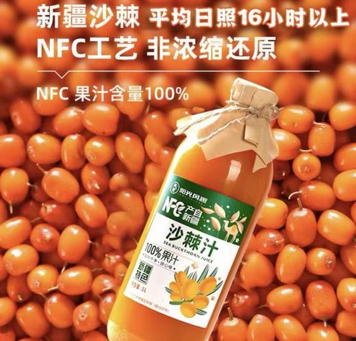 新疆沙棘汁（1L） 商品图0