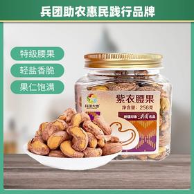 兵团大地紫衣腰果(熟)256g/罐【疆品南下 粤品北上】