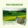 疆沙莎虎坚果高级食用油1000ml/瓶【疆品南下 粤品北上】 商品缩略图1