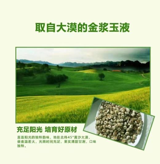 疆沙莎虎坚果高级食用油1000ml/瓶【疆品南下 粤品北上】 商品图1