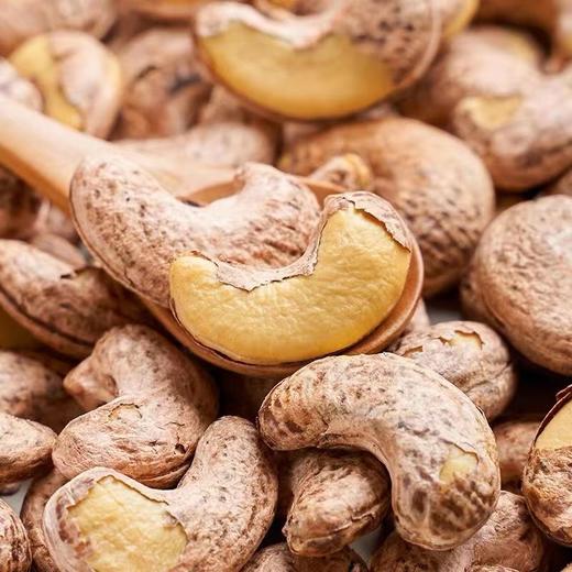 兵团大地紫衣腰果(熟)256g/罐【疆品南下 粤品北上】 商品图2