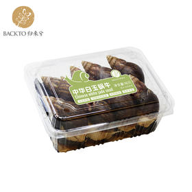 新品：中华白玉蜗牛（活体）16只盒装  全国配送（偏远地区除外）