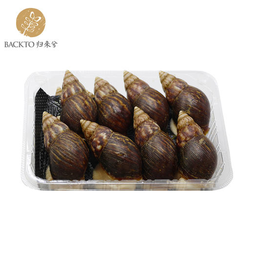 新品：中华白玉蜗牛（活体）16只盒装  全国配送（偏远地区除外） 商品图1