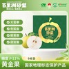2025年‘桃梨节’第一季正宗湖北省枝江市百里洲砂梨手工现摘现发高档水果（生鲜水果新疆，青海，内蒙古，黑龙江，吉林，不能发货） 商品缩略图1