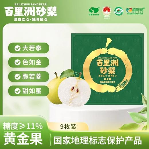 2025年‘桃梨节’第一季正宗湖北省枝江市百里洲砂梨手工现摘现发高档水果（生鲜水果新疆，青海，内蒙古，黑龙江，吉林，不能发货） 商品图1