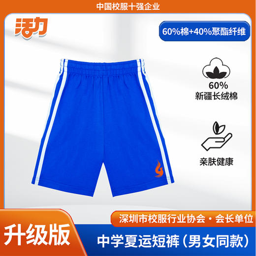 【升级版】深圳高中学夏运（单件）（宝安第一外国语） 商品图3