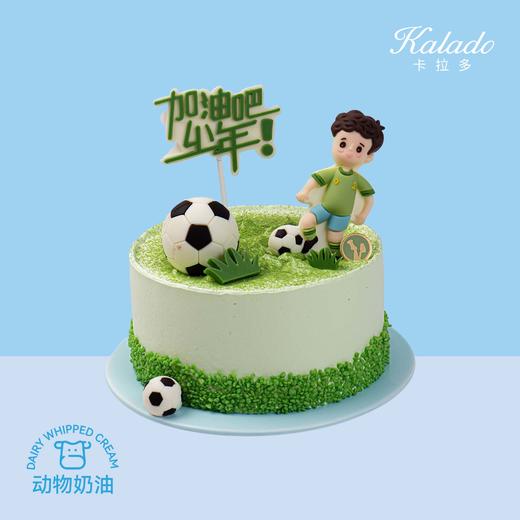 绿茵之冠 商品图0