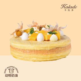 热情芒果千层 8#