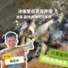 生态草鱼（冷鲜，仅限广东省内下单）  | 绿家自产 * Eco- Grass Carp | Self-production 商品缩略图0