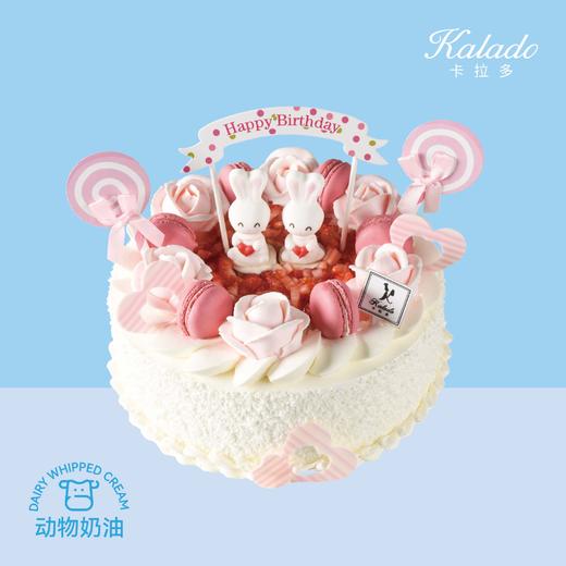 梦幻兔 商品图0