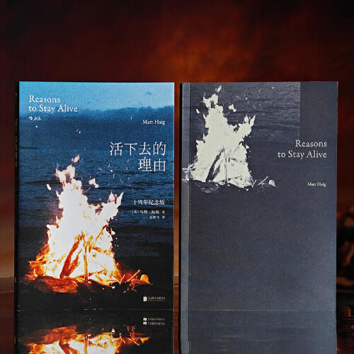 活下去的理由（十周年纪念版） ［英］马特·海格 著 心理学社科 商品图2