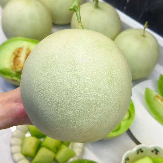 玉菇瓜 约3斤左右/个（冰淇淋口感，软糯丝滑） 商品图1