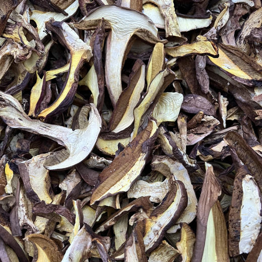 【野生黄牛肝菌干片】 无泥脚无熏硫 菌香浓郁 新货包邮 商品图1